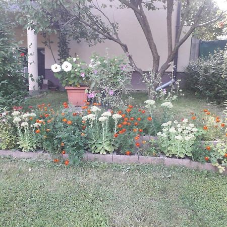 Kuca Za Odmor Bajtica Βίλα Jesenovec Εξωτερικό φωτογραφία