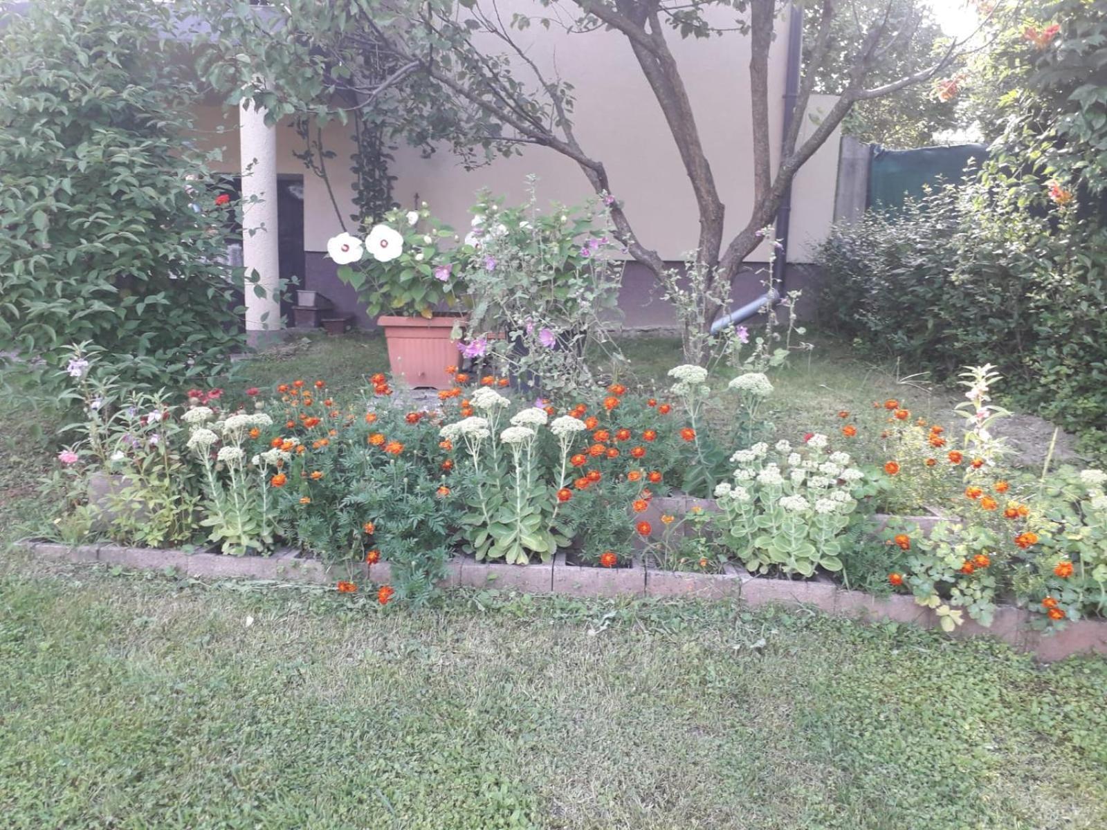 Kuca Za Odmor Bajtica Βίλα Jesenovec Εξωτερικό φωτογραφία